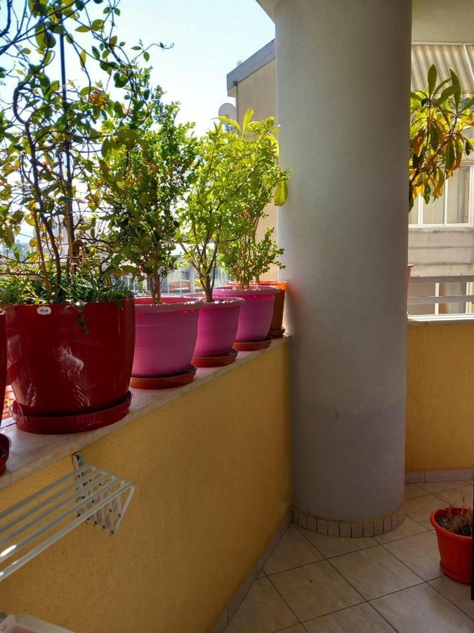 Holiday Center Apartment Szkodra Zewnętrze zdjęcie